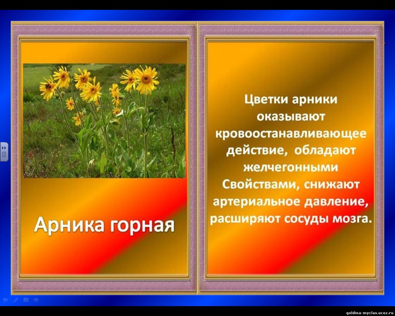http://torrent-load.at.ua/ М. А. Носкова Интерактивная книга "Лекарственные растения" (вн. работа, 1-4 классы) | 644 кб | Нажмите, для просмотра в полном размере...